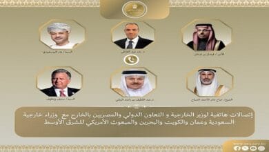 وزير الخارجية: التصعيد يهدد بجر المنطقة إلى فوضى ذات تداعيات دولية