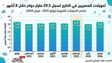 تحويلات المصريين العاملين بالخارج تزيد 4.5% خلال شهر أكتوبر