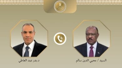 وزير الخارجية يبحث هاتفيًا مع نظيره السوداني تطورات الأزمة في السودان