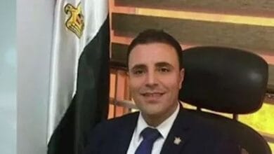 أستاذ علوم سياسية: زيارة الرئيس السيسي للإمارات تؤكد موقف مصر الثابت تجاه أمن الخليج