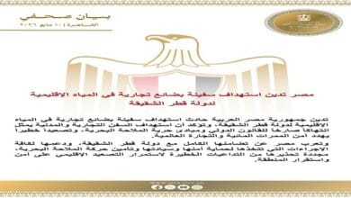 مصر تدين استهداف سفينة بضائع تجارية في المياه الإقليمية لقطر