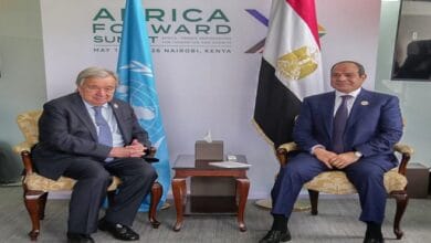 الرئيس السيسي يؤكد لجوتيريش دعم مصر الكامل لدول الخليج ورفض الاعتداءات على سيادتها