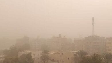 عاصفة ترابية تضرب أسوان وتؤدي لانعدام الرؤية وإيقاف الحركة