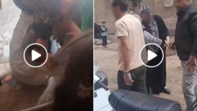 الأجهزة الأمنية تكشف ملابسات مشاجرة بين جيران بالمحلة بسبب مركز دروس خصوصية