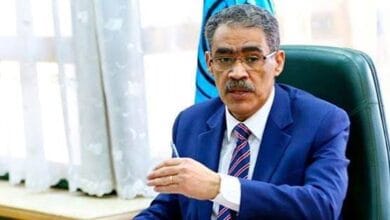 ضياء رشوان: الدولة حريصة على تعزيز الإعلام الخاص لخدمة المجتمع ودعم جهود التنمية