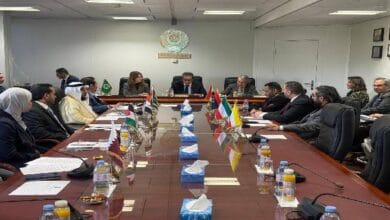 مصر تؤكد دورها الإنساني تجاه فلسطين وتدعو لتكاتف عربي لمواجهة التحديات الصحية