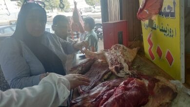 ضبط ختم مزور ولحوم فاسدة في محلات جزارة بالإسكندرية قبل عيد الأضحى