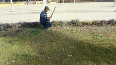 تخصيص 412 ساحة لصلاة عيد الأضحى في الخلاء بكفر الشيخ