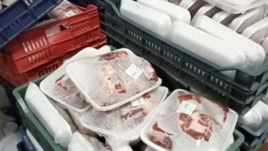 ضبط أكثر من 2 طن دواجن غير صالحة للاستهلاك الآدمي في ثلاجة مخالفة بالإسكندرية