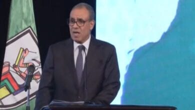 وزير الخارجية: مصر البوابة الحقيقية والشمالية لإفريقيا.. والهوية الإفريقية أولوية