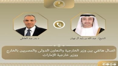 وزير الخارجية يبحث مع نظيره الإماراتي التطورات الإقليمية