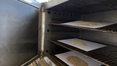 طالبات بجامعة الزقازيق يبتكرن مشروعًا لإعادة تدوير المخلفات الغذائية وإنتاج مكمل بروتيني