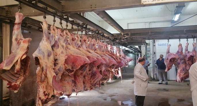 فتح المجازر الحكومية بالقاهرة مجانًا لاستقبال أضاحي المواطنين طوال أيام العيد