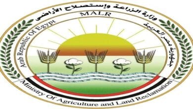 وزير الزراعة: استمرار حالة الطوارئ وتكثيف حملات حماية الأراضي الزراعية خلال العيد