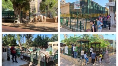 حدائق الحيوان الإقليمية والأسماك تستقبل 38 ألف زائر في أول وثاني أيام عيد الأضحى