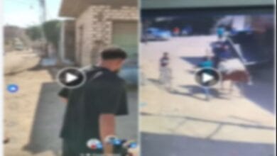 الأمن يكشف حقيقة مشاجرة مطاي وينفي المزاعم الطائفية