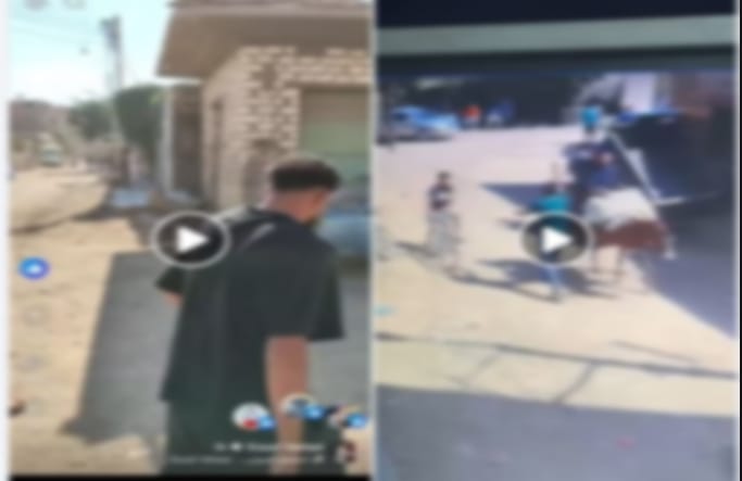 الأمن يكشف حقيقة مشاجرة مطاي وينفي المزاعم الطائفية