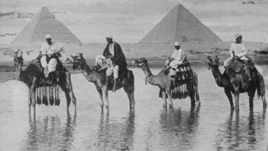 رسومات ترصد حال السياحة في مصر قبل 118 عاماً: من البقشيش إلى الحمار إكسبريس