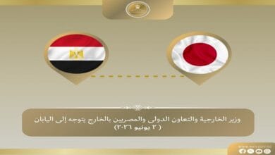 وزير الخارجية يتوجه إلى طوكيو عقب زيارة كوريا الجنوبية