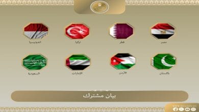 وزراء خارجية مصر ودول إسلامية يدينون استمرار اقتحامات المستوطنين للمسجد الأقصى