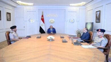 الرئيس السيسي يثمن جهود الدولة ومؤسساتها الوطنية في مواجهة الأزمات