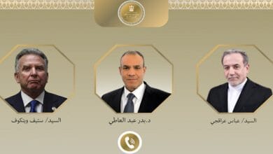 وزير الخارجية يبحث هاتفيًا مع عراقجي وويتكوف تطورات المفاوضات الأمريكية الإيرانية