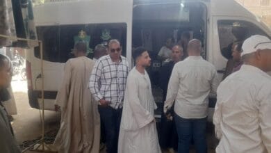 «ترخيصك في محلك» تصل للقرى بالمنيا: 77 طلب تقنين و12 تصريحًا مؤقتًا وغلق 29 محلًا مخالفًا