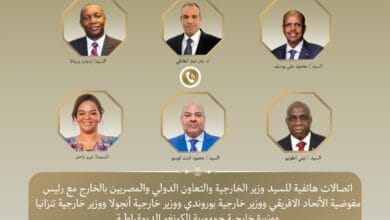 وزير الخارجية يبحث مع مسؤولين أفارقة تعزيز العمل المشترك