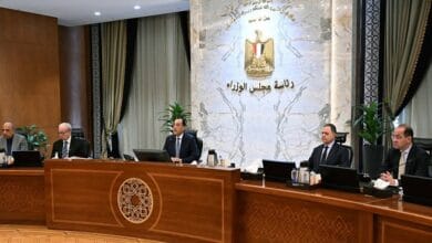 رئيس الوزراء: توريد 4.6 مليون طن قمح من المزارعين رقم تاريخي