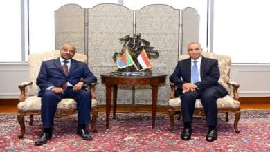 وزير الخارجية: العلاقات بين مصر وإريتريا متميزة