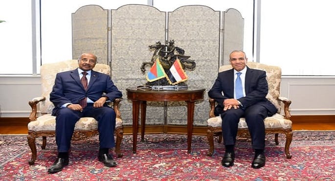 وزير الخارجية: العلاقات بين مصر وإريتريا متميزة