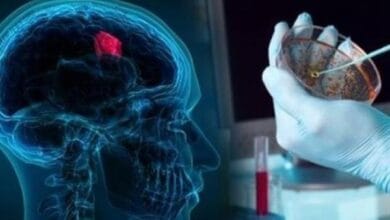 علماء روس يبتكرون محفزات جديدة لإنتاج الأدوية والوقود والمواد الخام