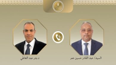وزير الخارجية ونظيره الجيبوتي يبحثان سبل تعزيز العلاقات الثنائية وتطورات القرن الأفريقي