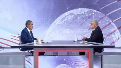 ضياء رشوان: الأمن القومي العربي لا يتجزأ من الأمن القومي المصري