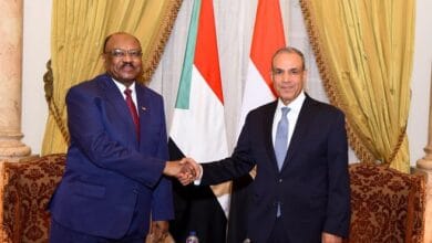 وزير الخارجية يؤكد دعم مصر لوحدة السودان ورفض إنشاء كيانات موازية