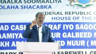 الرئيس الصومالي: البلاد دخلت مرحلة انتخابية وفقًا للدستور