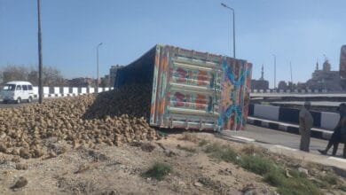 رفع سيارة نقل انقلبت بالبنجر أعلى كوبري منية سندوب بالدقهلية