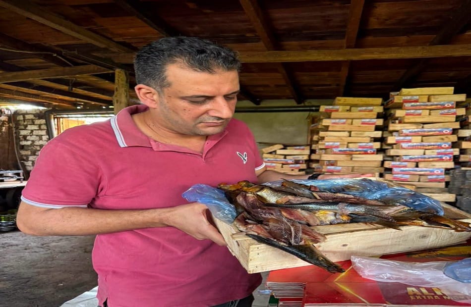 ضبط 1.5 طن 'رنجة' غير صالحة للاستهلاك في الغربية