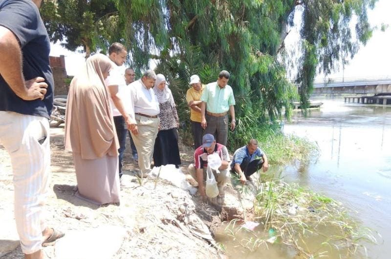 إطلاق 150 ألف زريعة سمكية بترعة الباجورية بالمنوفية لدعم الصيادين