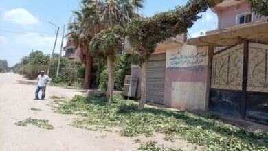 محافظ المنوفية يطلق مبادرة "يوم في قريتنا" للارتقاء بمستوى الخدمات العامة