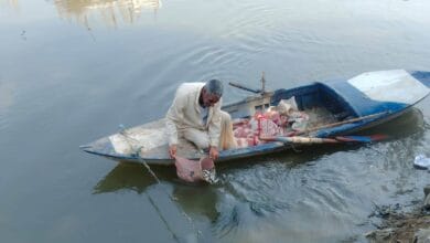 إطلاق 550 ألف زريعة أسماك بلطي ببحر أبو الأخضر بمركز ههيا