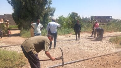 غلق 20 معبرًا غير قانوني على شريط السكك الحديدية بدشنا لحماية المواطنين